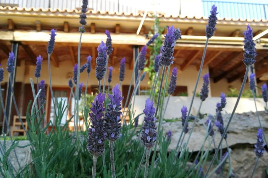 Finca Rural S'Estepa PMI Exteriör bild