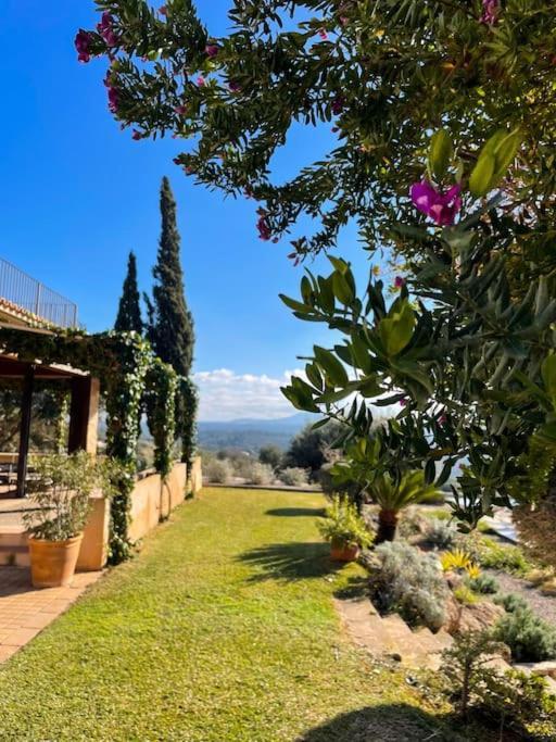 Finca Rural S'Estepa PMI Exteriör bild